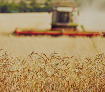 Développement Agricole et Rural