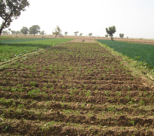 Projet SCET-Tunisie, aménagement hydro-agricole au Burkina Faso