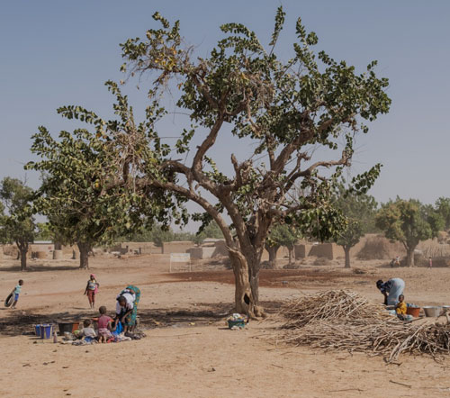 ASSISTANCE TECHNIQUE AU PERSONNEL DE L'UNITE DE GESTION DU PROJET PRIA-MALI