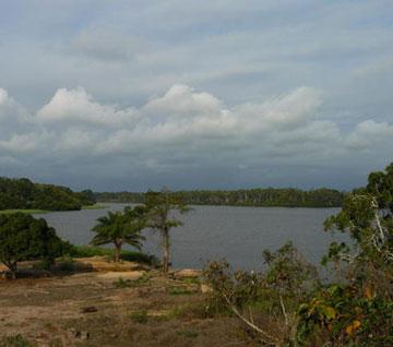 Projet SCET-Tunisie, protection du littoral congolais