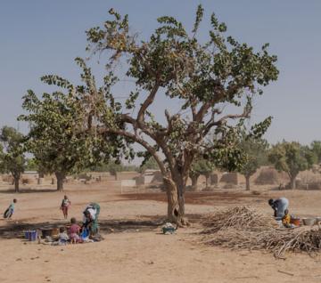 ASSISTANCE TECHNIQUE AU PERSONNEL DE L'UNITE DE GESTION DU PROJET PRIA-MALI